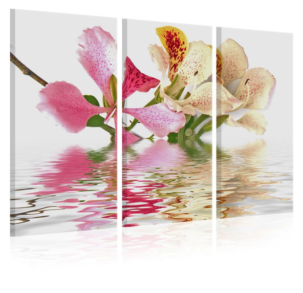 Stretched Canvas Floral Art - Orchid With Colorful Spots-Tiptophomedecor