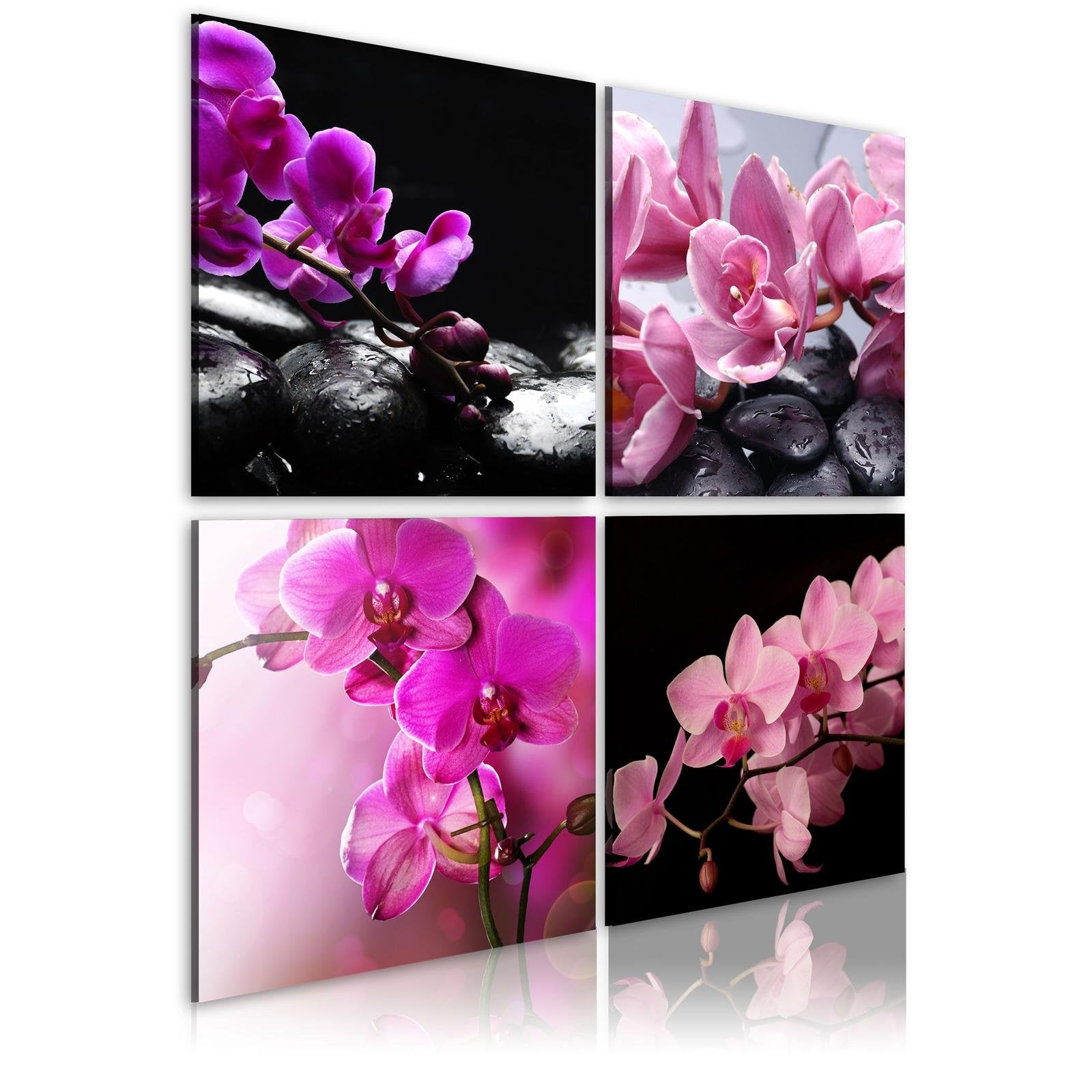 Stretched Canvas Floral Art - Orchids More Beautiful Than Ever-Tiptophomedecor