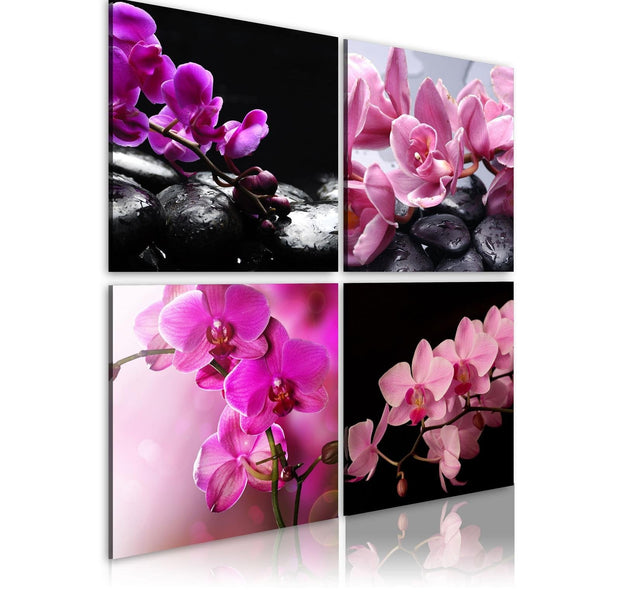 Stretched Canvas Floral Art - Orchids More Beautiful Than Ever-Tiptophomedecor