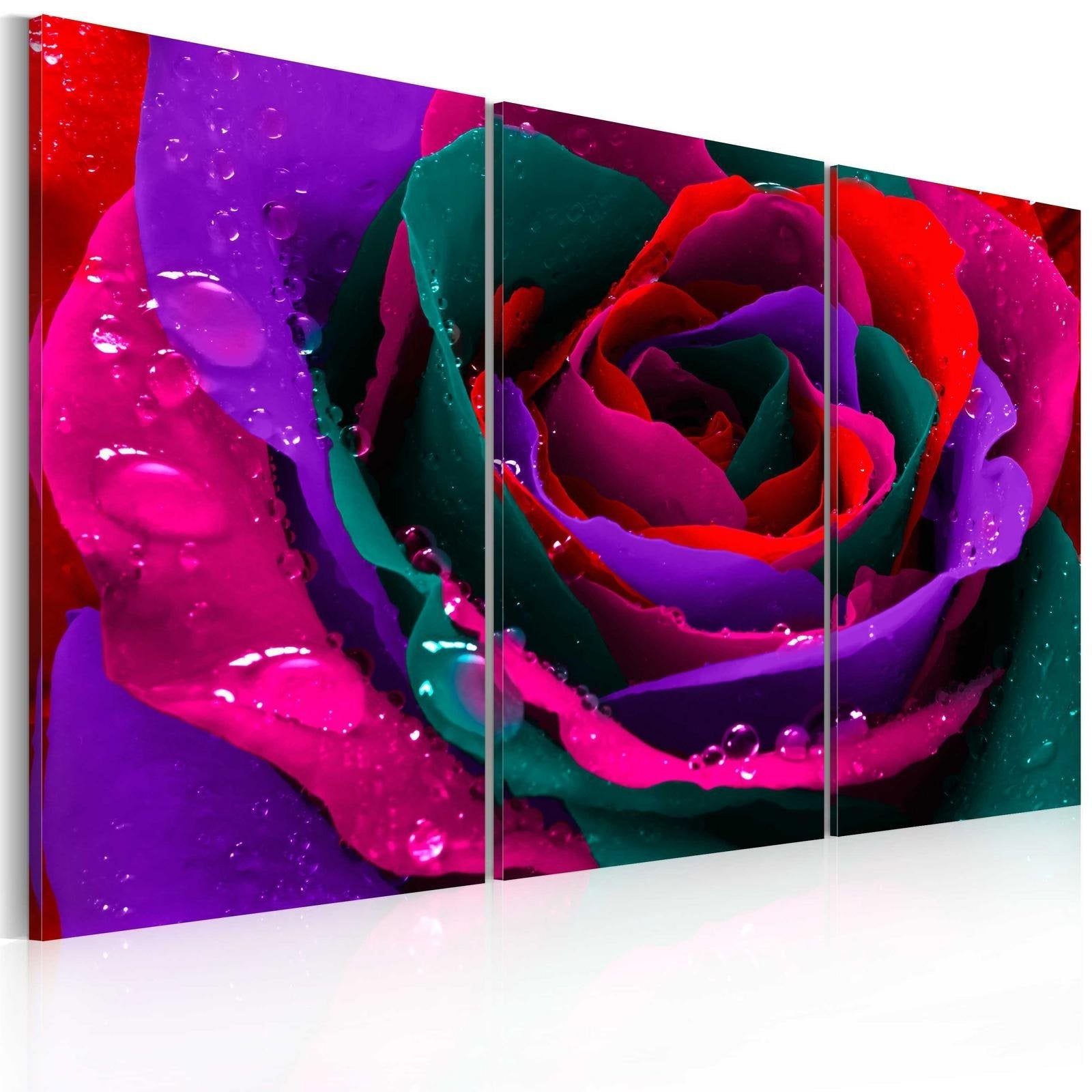 Stretched Canvas Floral Art - Rainbow-Hued Rose-Tiptophomedecor