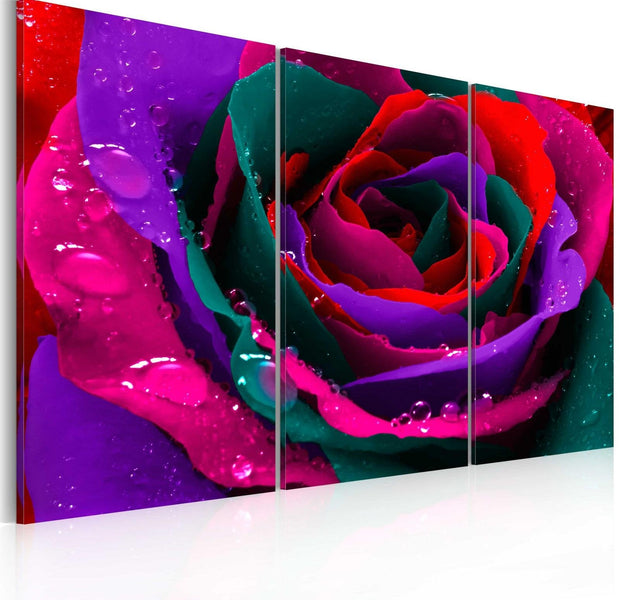 Stretched Canvas Floral Art - Rainbow-Hued Rose-Tiptophomedecor