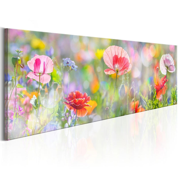 Stretched Canvas Floral Art - Rainbow Of Morning Poppies-Tiptophomedecor