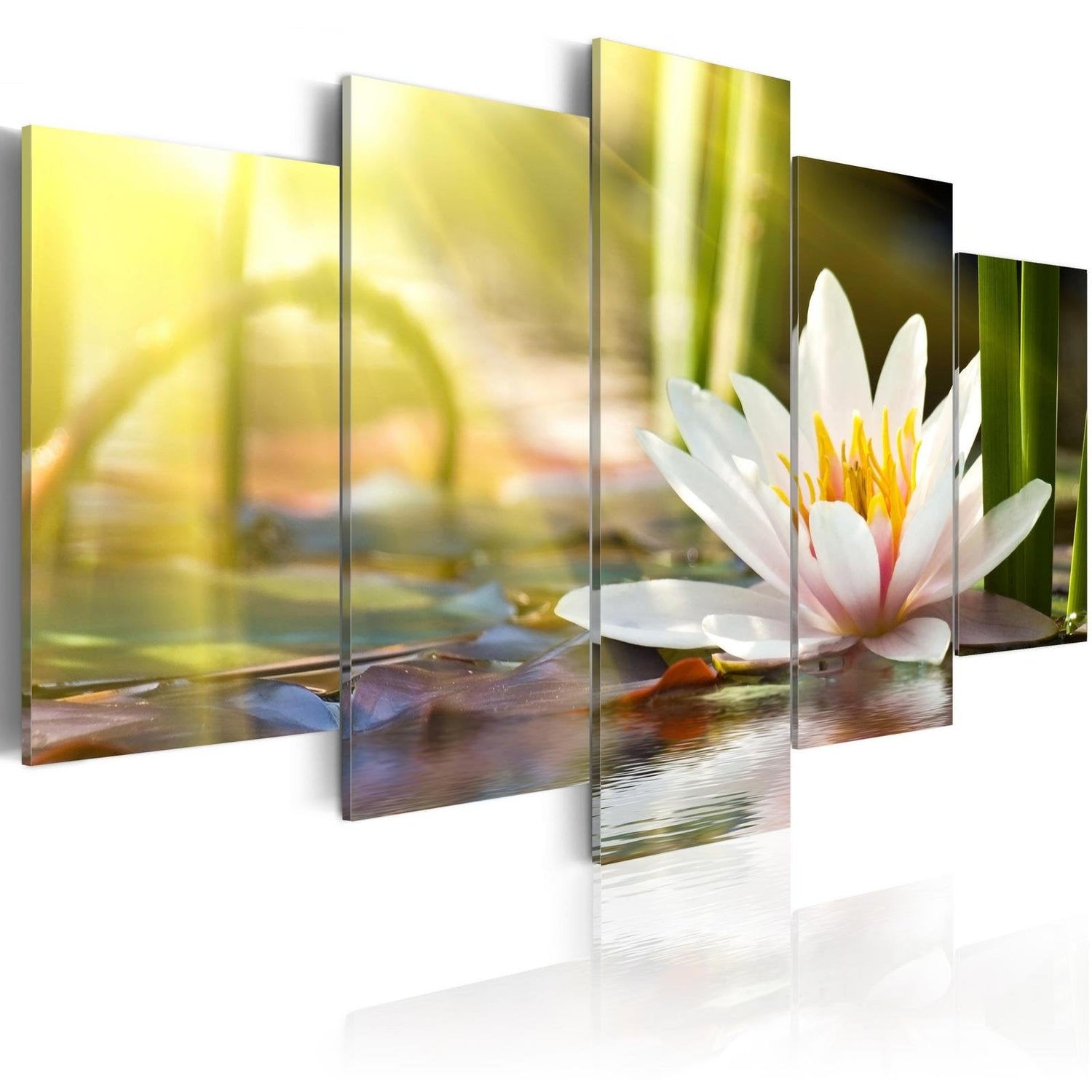 Stretched Canvas Floral Art - Sunny Lotus-Tiptophomedecor
