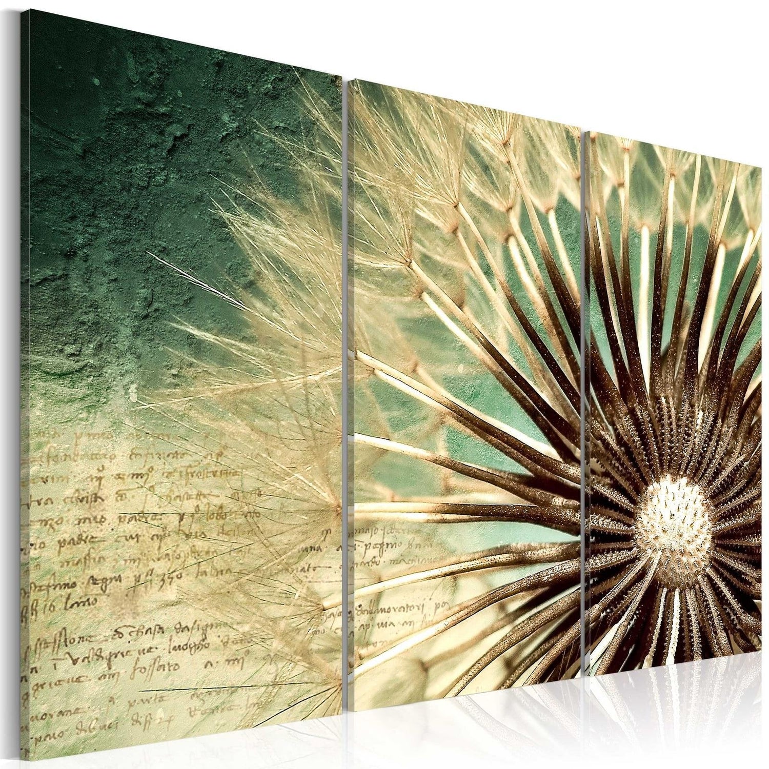Stretched Canvas Floral Art - Transitory Beauty-Tiptophomedecor