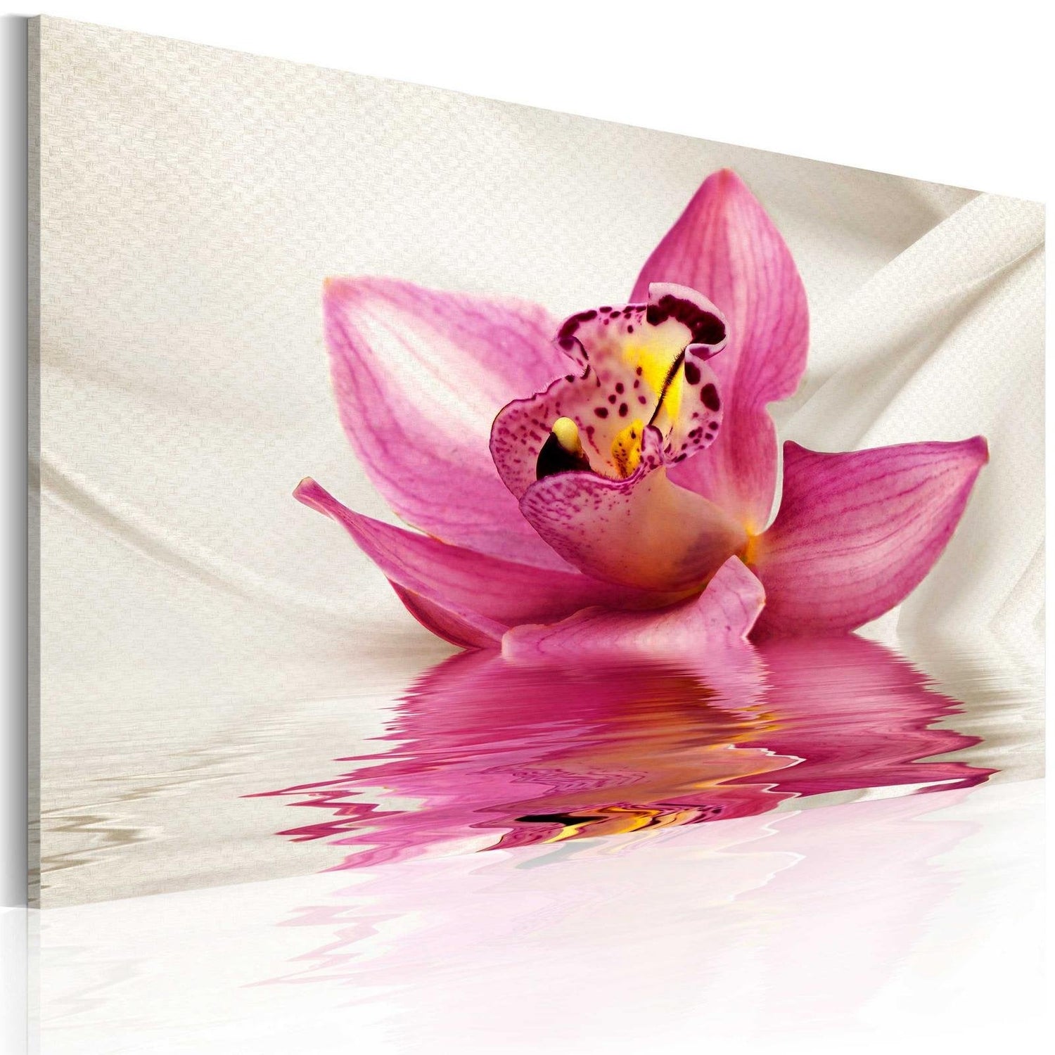 Stretched Canvas Floral Art - Unusual Orchid-Tiptophomedecor