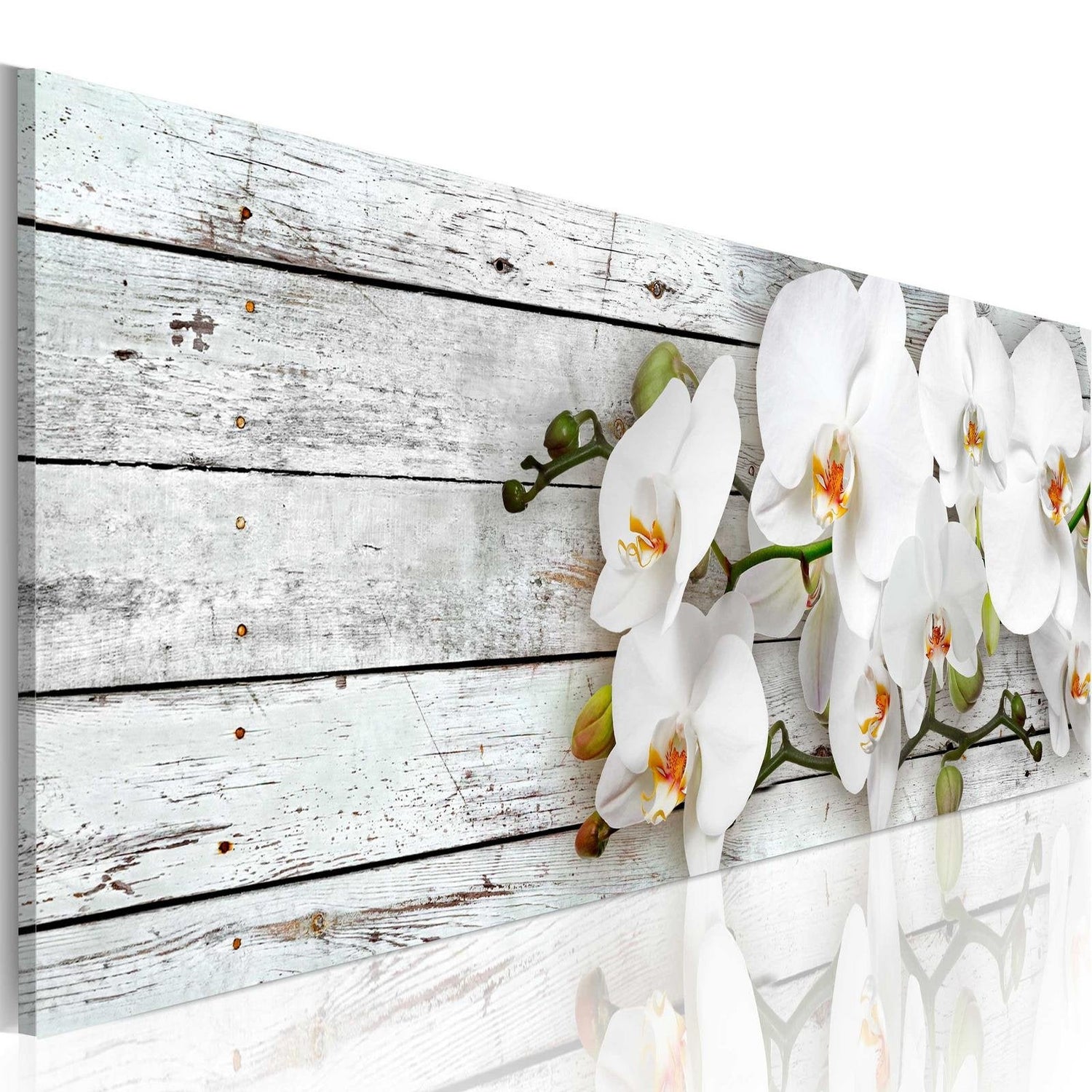 Stretched Canvas Floral Art - White Dreams-Tiptophomedecor