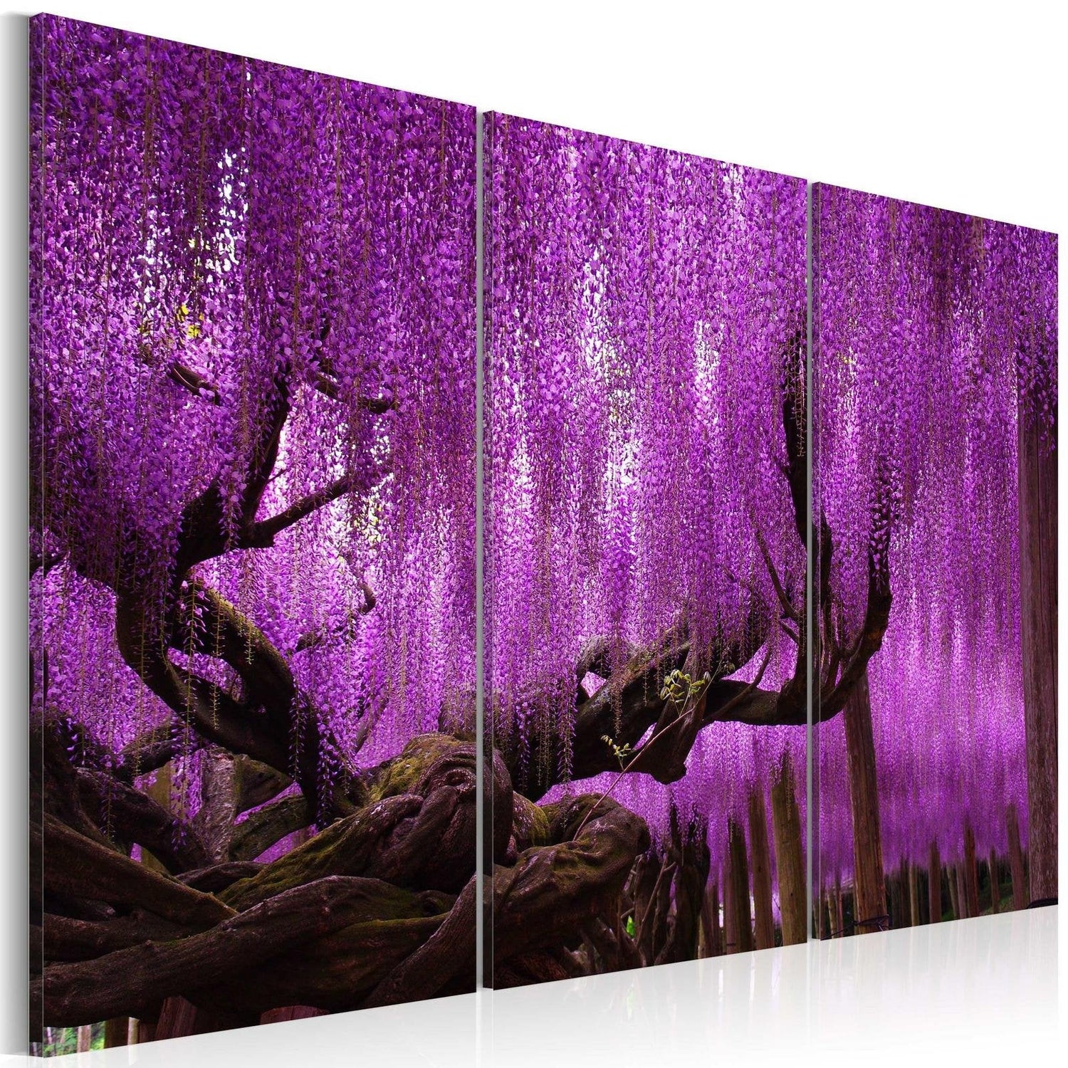 Stretched Canvas Floral Art - Wisteria-Tiptophomedecor