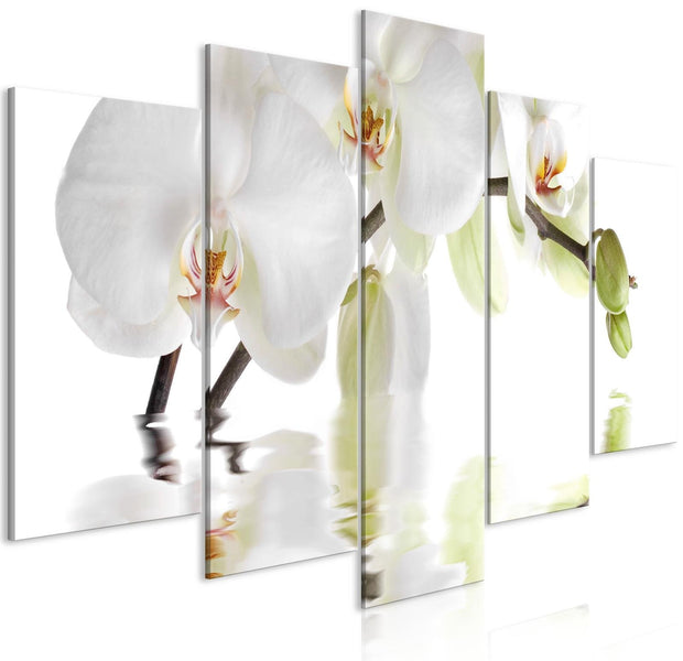 Stretched Canvas Floral Art - Wonderful Orchid Wide-Tiptophomedecor