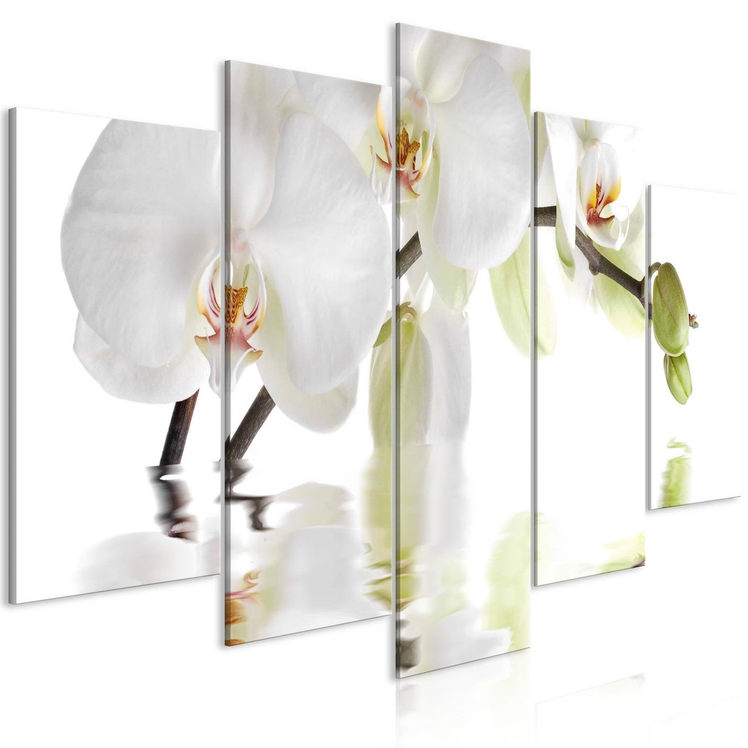 Stretched Canvas Floral Art - Wonderful Orchid Wide-Tiptophomedecor