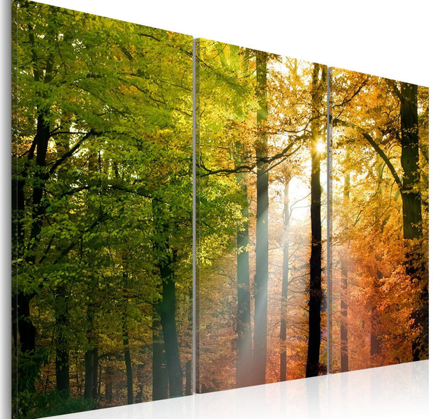 Stretched Canvas Landscape Art - A Calm Autumn Forest-Tiptophomedecor