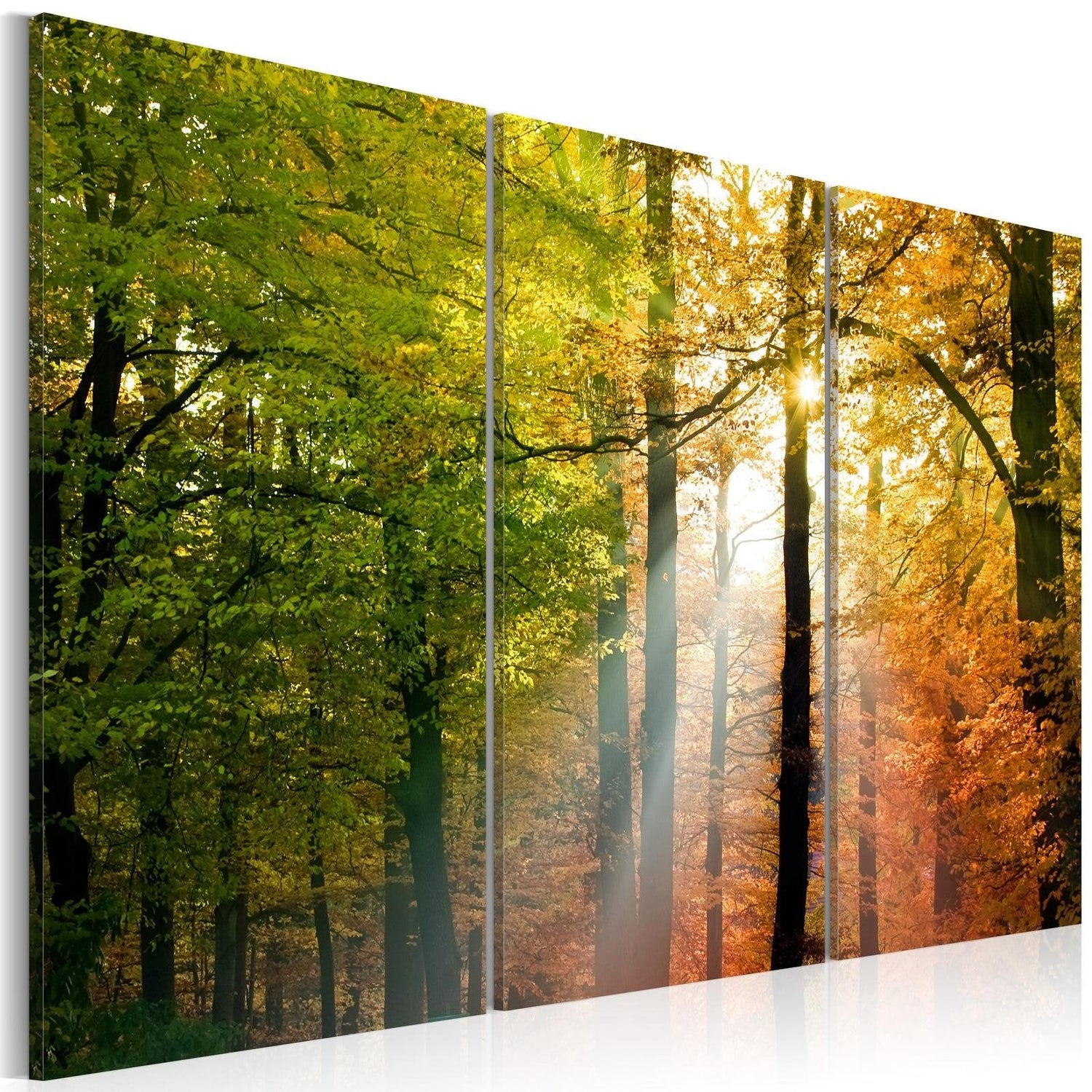 Stretched Canvas Landscape Art - A Calm Autumn Forest-Tiptophomedecor