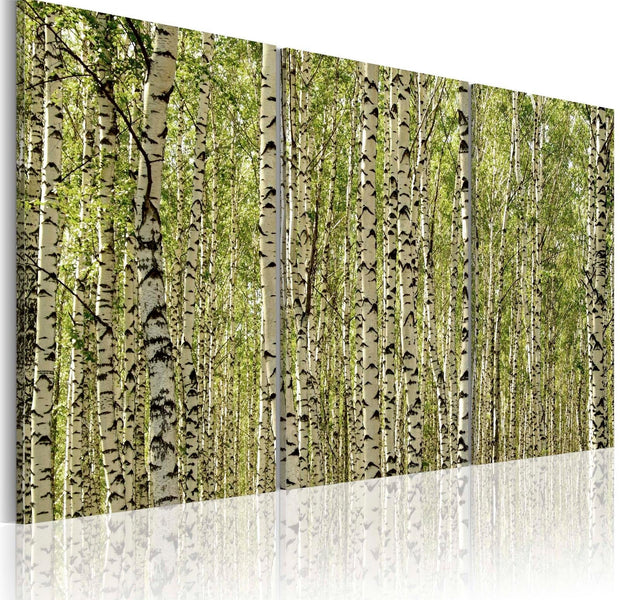 Stretched Canvas Landscape Art - A Forest Of Birch Trees-Tiptophomedecor