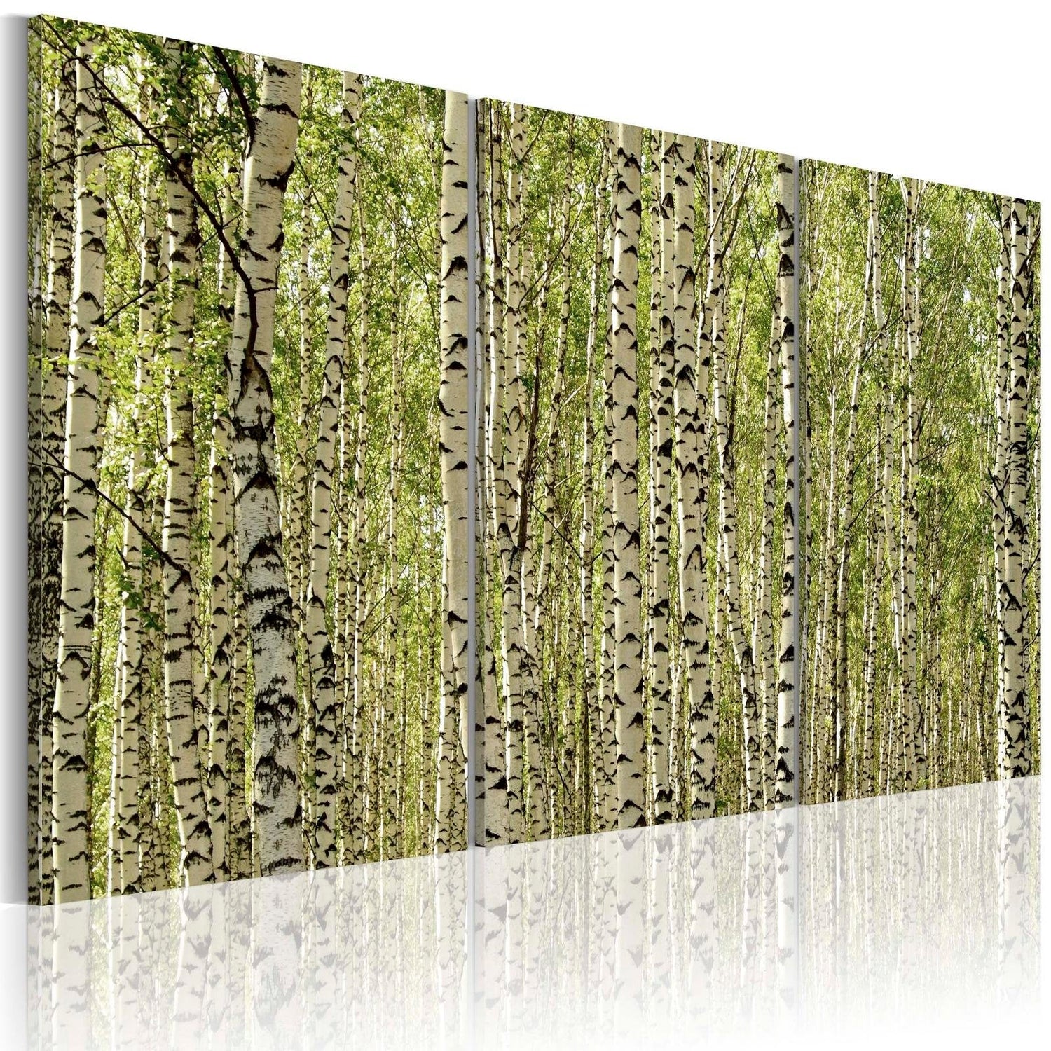Stretched Canvas Landscape Art - A Forest Of Birch Trees-Tiptophomedecor