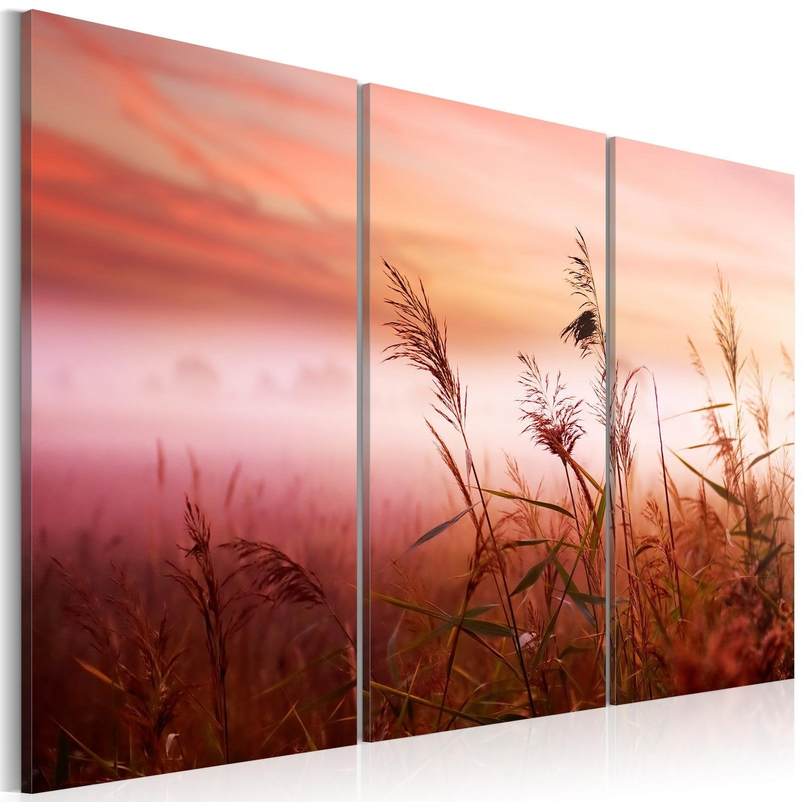 Stretched Canvas Landscape Art - A Silent Meadow-Tiptophomedecor
