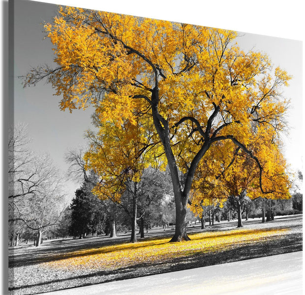 Stretched Canvas Landscape Art - Autumn In The Park Wide Gold-Tiptophomedecor