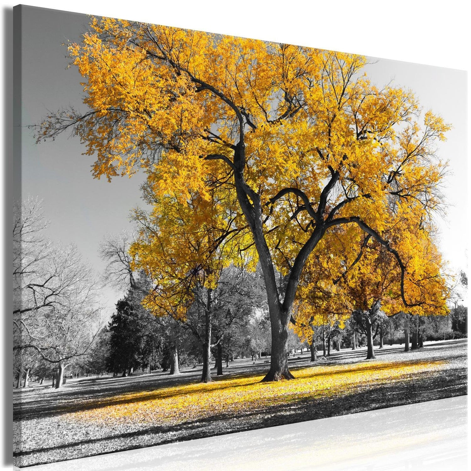 Stretched Canvas Landscape Art - Autumn In The Park Wide Gold-Tiptophomedecor
