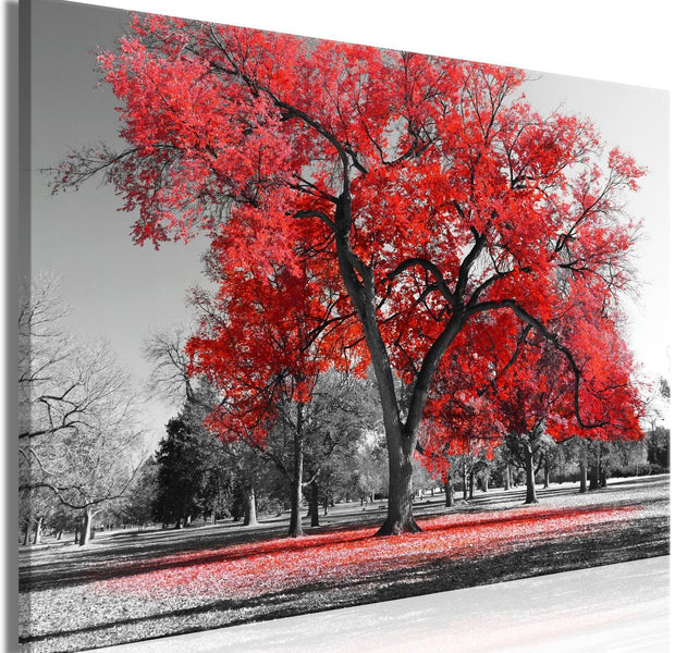 Stretched Canvas Landscape Art - Autumn In The Park Wide Red-Tiptophomedecor