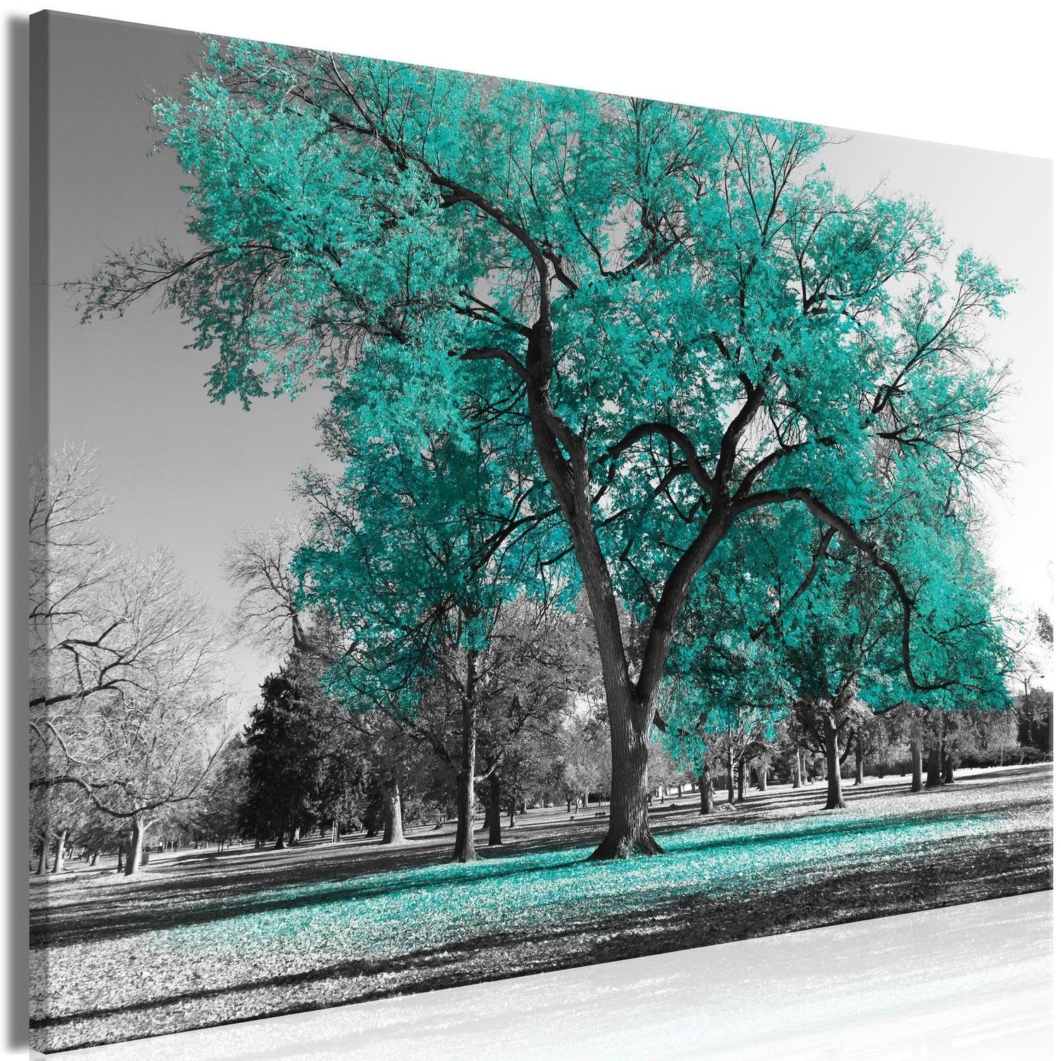 Stretched Canvas Landscape Art - Autumn In The Park Wide Turquoise-Tiptophomedecor