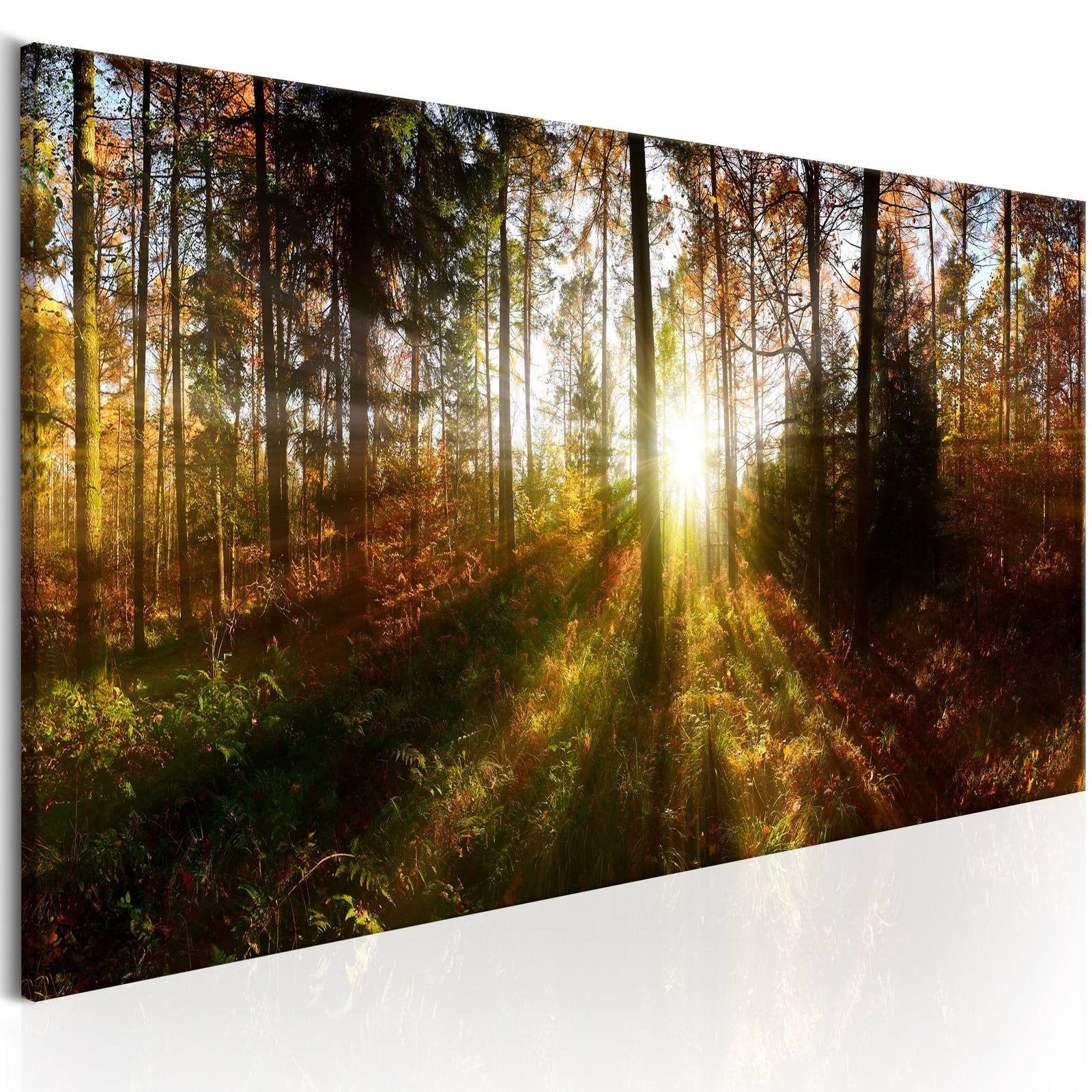 Stretched Canvas Landscape Art - Beautiful Forest-Tiptophomedecor