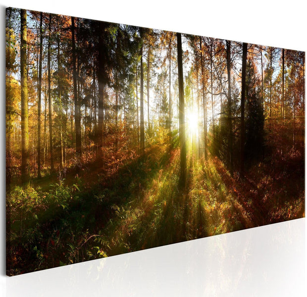 Stretched Canvas Landscape Art - Beautiful Forest-Tiptophomedecor