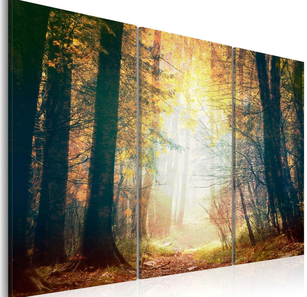 Stretched Canvas Landscape Art - Beauty Of Autumn 3 Piece-Tiptophomedecor