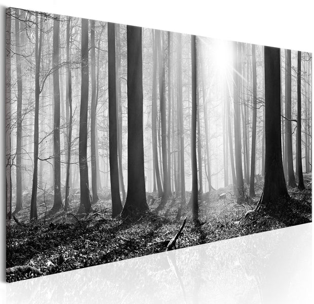 Stretched Canvas Landscape Art - Black And White Forest-Tiptophomedecor