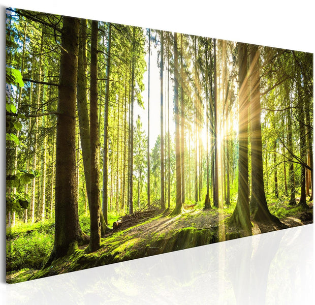 Stretched Canvas Landscape Art - Daylight-Tiptophomedecor