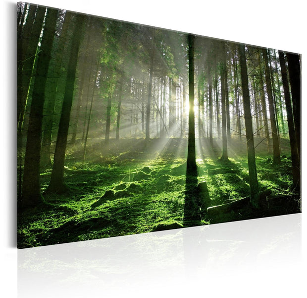 Stretched Canvas Landscape Art - Emerald Forest Sunlight-Tiptophomedecor