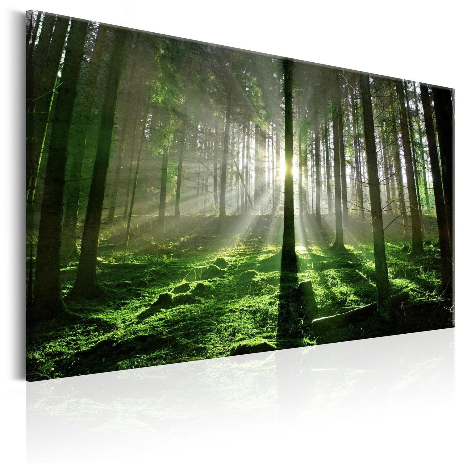 Stretched Canvas Landscape Art - Emerald Forest Sunlight-Tiptophomedecor