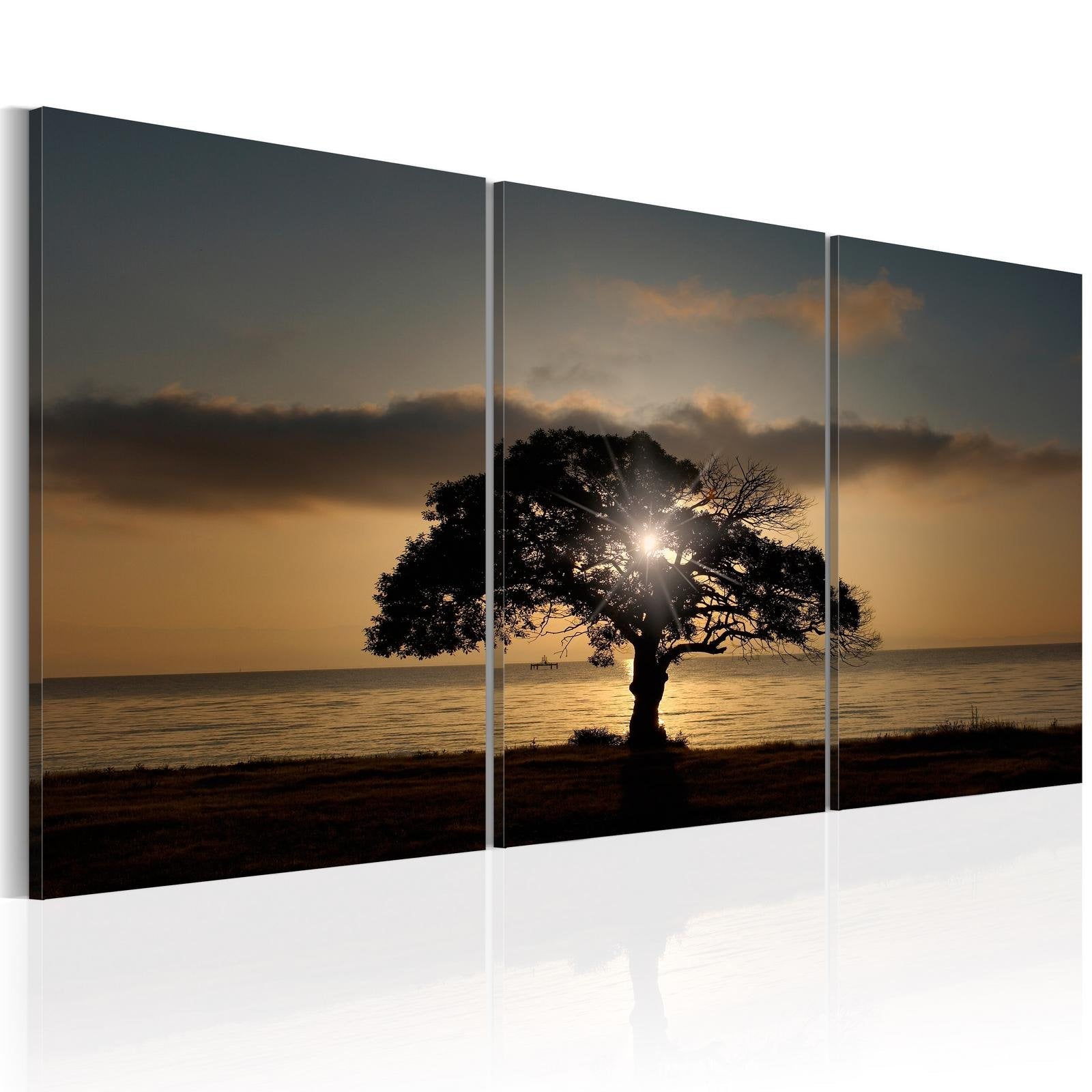 Stretched Canvas Landscape Art - Extraordinary Nature-Tiptophomedecor