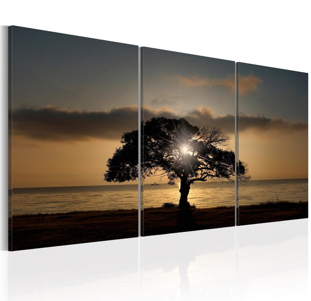 Stretched Canvas Landscape Art - Extraordinary Nature-Tiptophomedecor