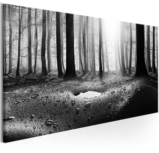 Stretched Canvas Landscape Art - Forest After Rain Narrow-Tiptophomedecor