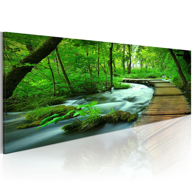 Stretched Canvas Landscape Art - Forest Broadwalk-Tiptophomedecor