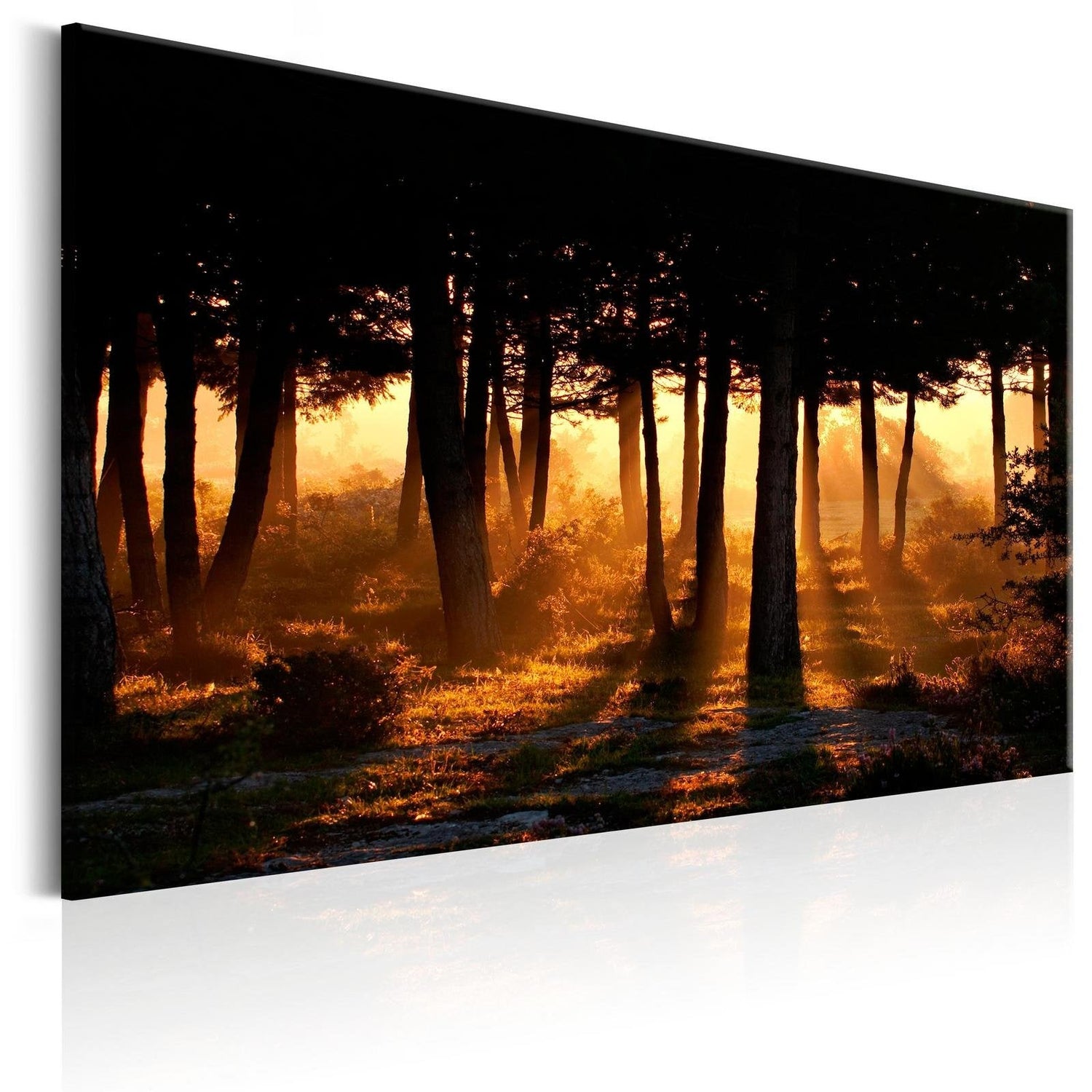Stretched Canvas Landscape Art - Forest Dawn-Tiptophomedecor