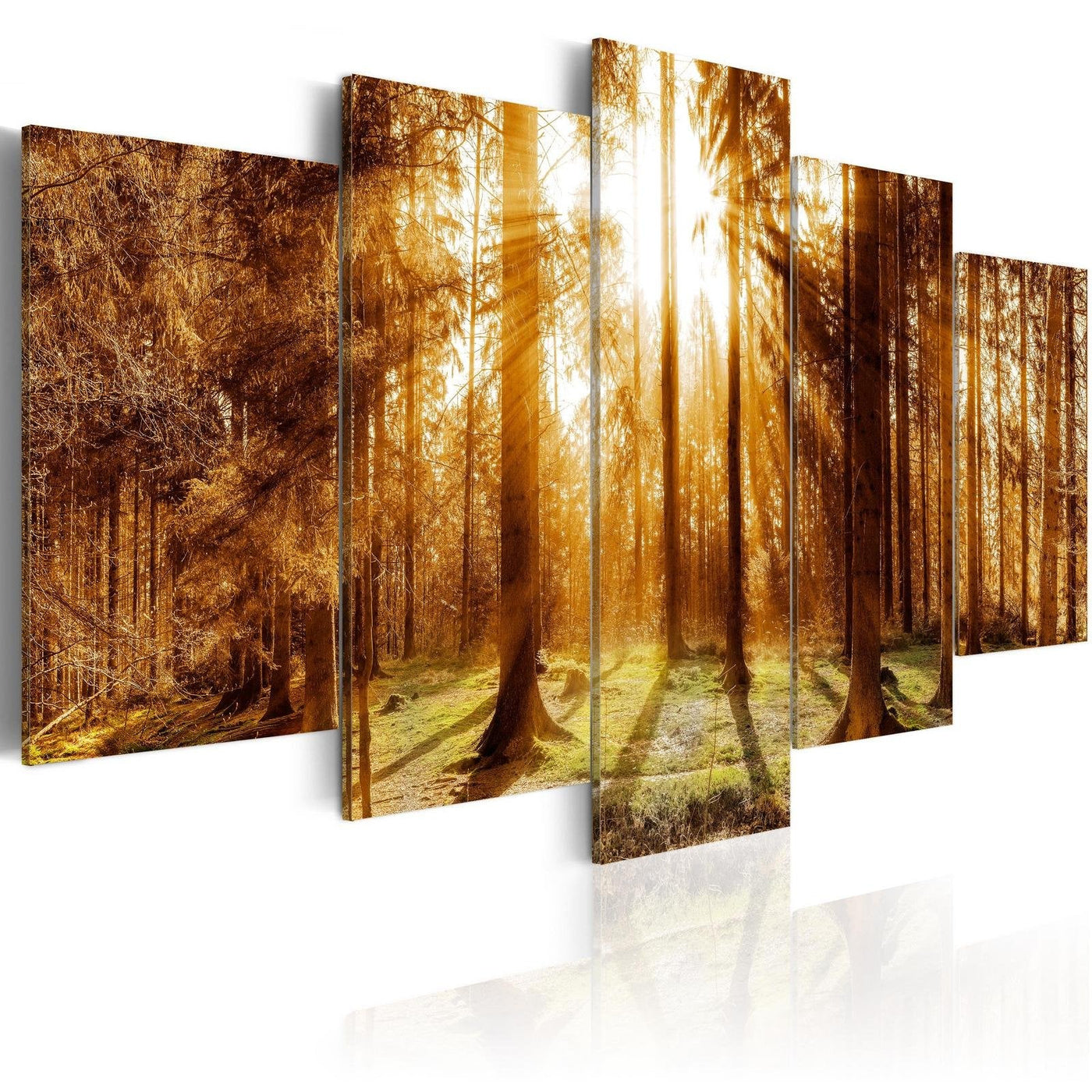 Stretched Canvas Landscape Art - Forest Illumination-Tiptophomedecor