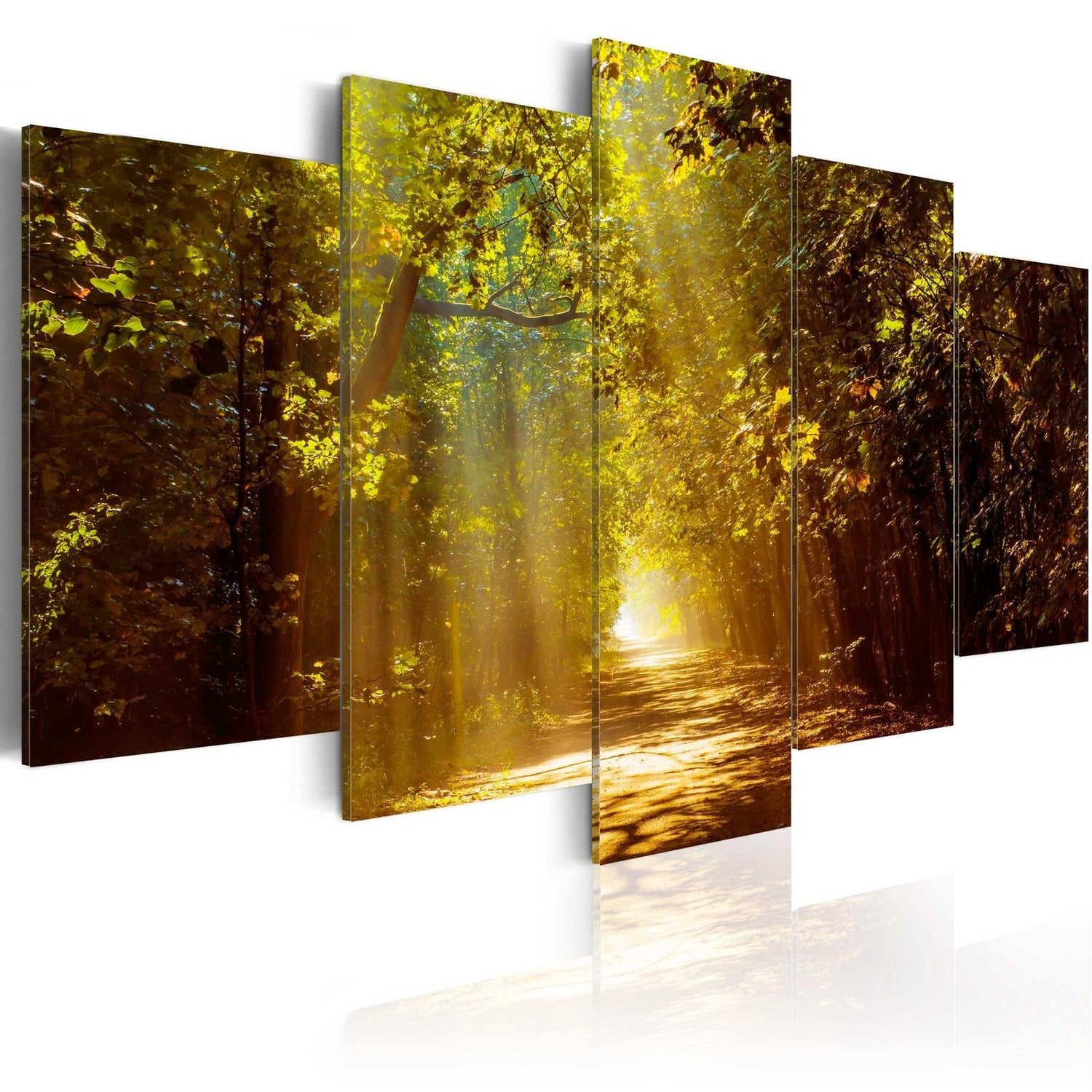 Stretched Canvas Landscape Art - Forest In The Sunlight-Tiptophomedecor