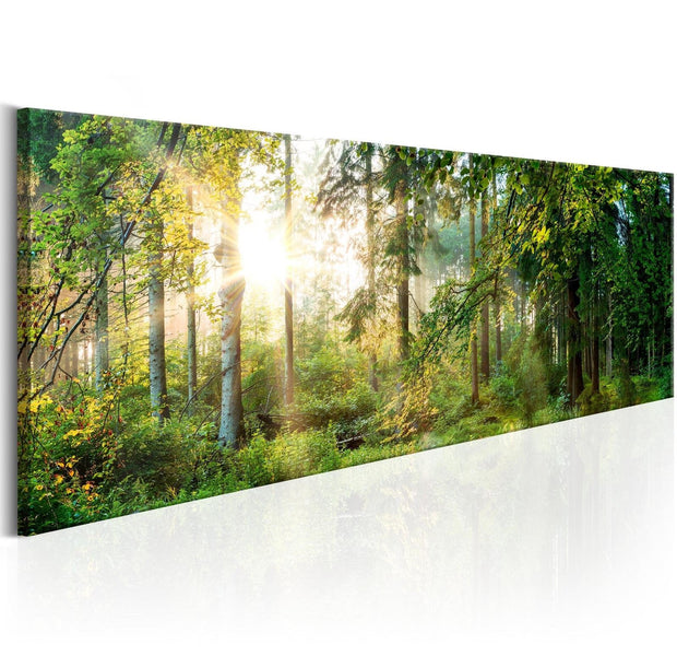 Stretched Canvas Landscape Art - Forest Shelter-Tiptophomedecor