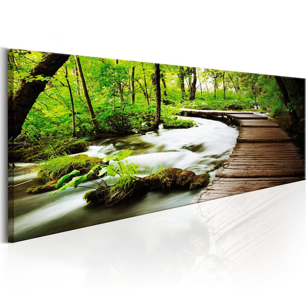 Stretched Canvas Landscape Art - Forest Song-Tiptophomedecor
