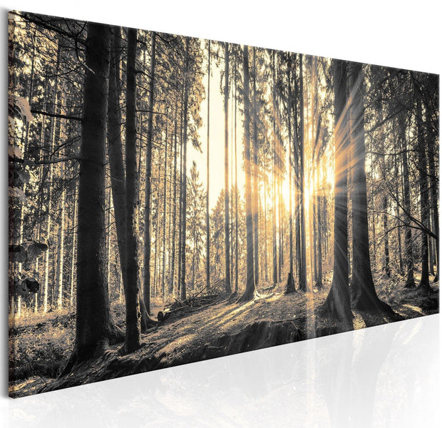 Stretched Canvas Landscape Art - Forest Sun-Tiptophomedecor