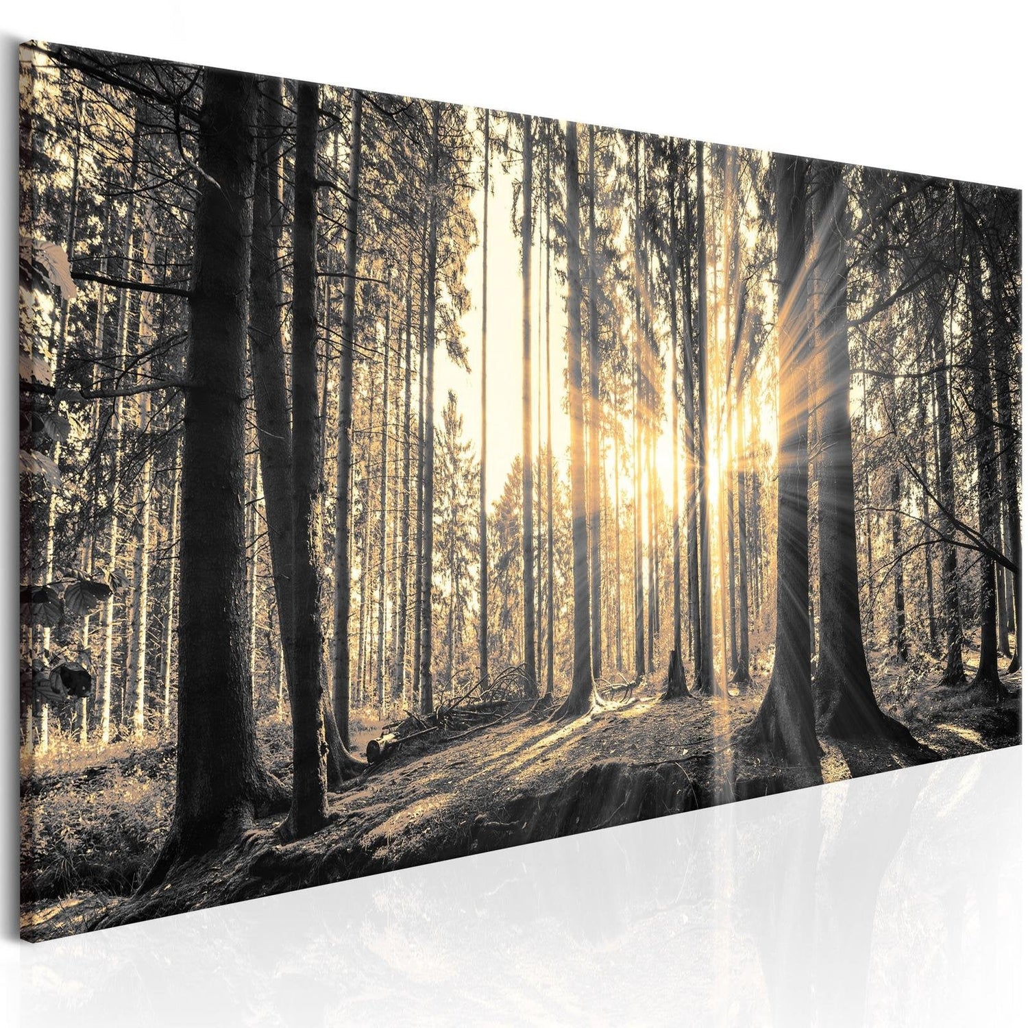Stretched Canvas Landscape Art - Forest Sun-Tiptophomedecor