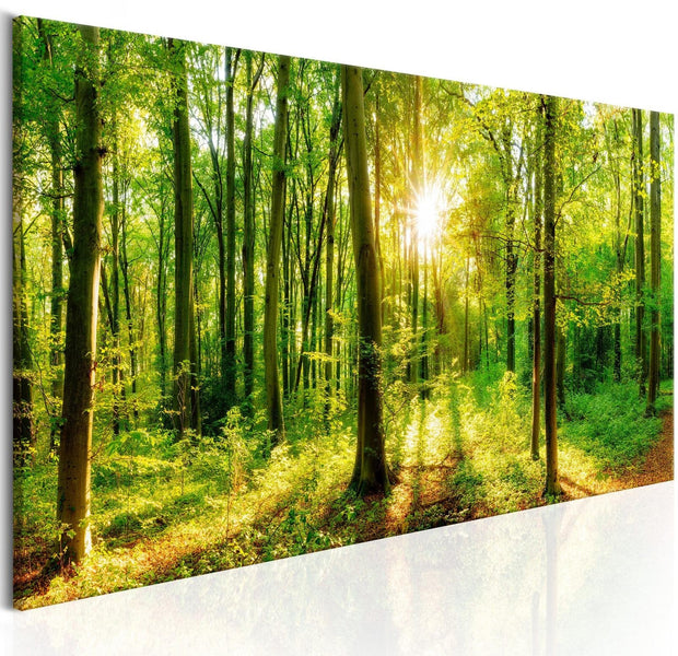 Stretched Canvas Landscape Art - Green Magic-Tiptophomedecor
