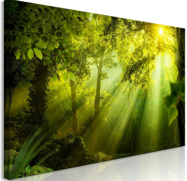 Stretched Canvas Landscape Art - In The Sunshine Narrow-Tiptophomedecor