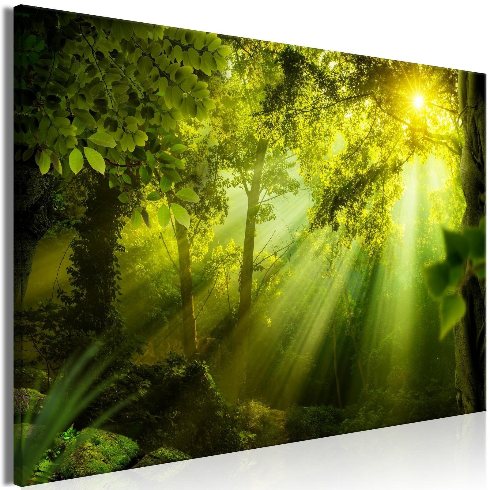 Stretched Canvas Landscape Art - In The Sunshine Wide-Tiptophomedecor