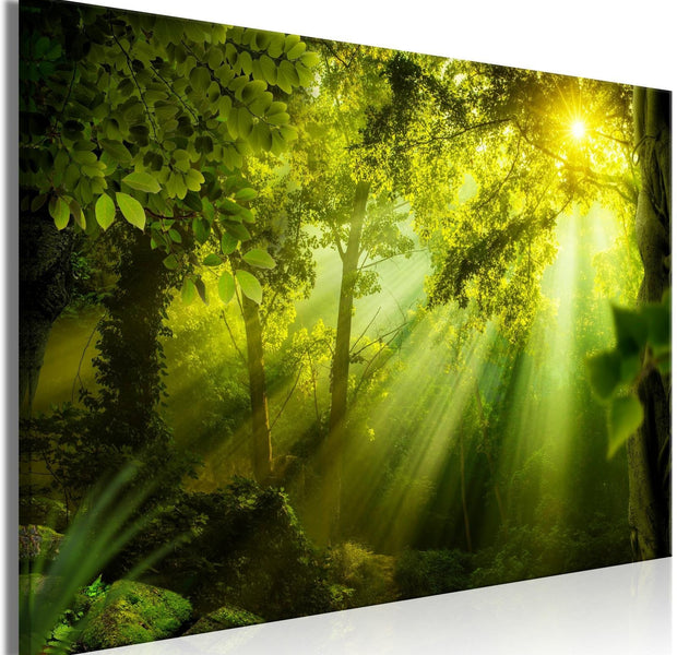 Stretched Canvas Landscape Art - In The Sunshine Wide-Tiptophomedecor