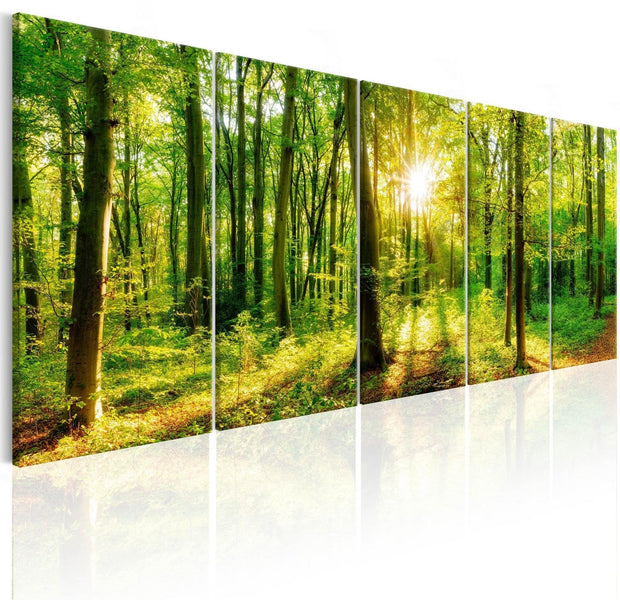Stretched Canvas Landscape Art - Magic Forest-Tiptophomedecor