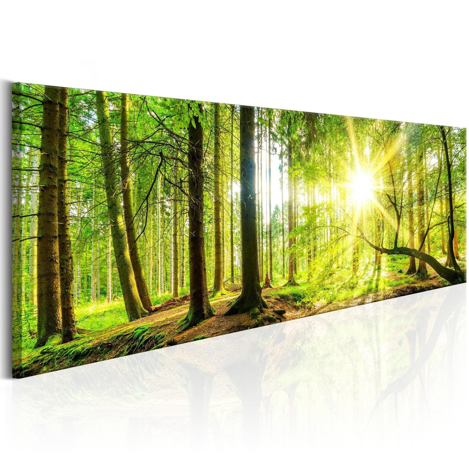 Stretched Canvas Landscape Art - Majestic Trees-Tiptophomedecor