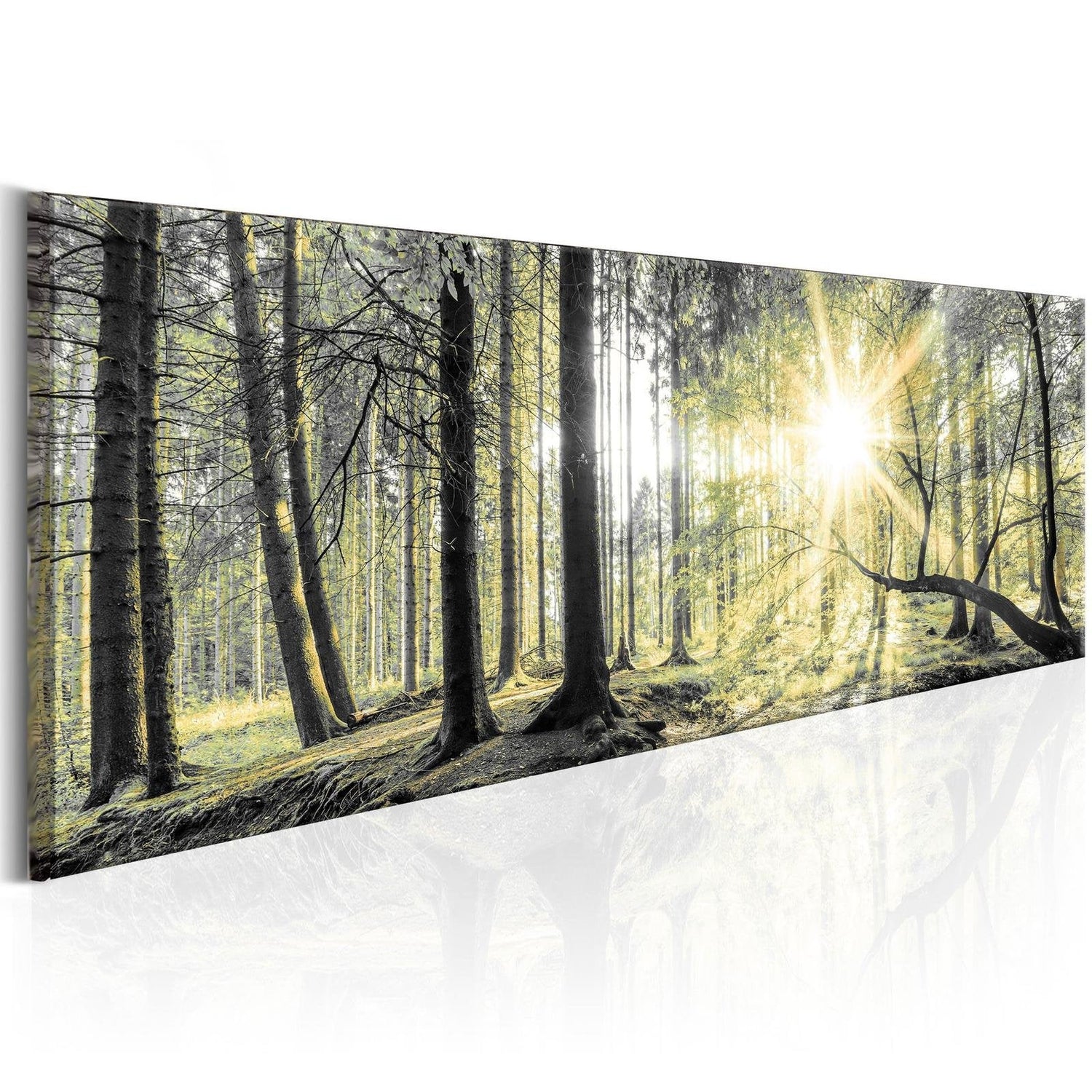 Stretched Canvas Landscape Art - Morning Forest-Tiptophomedecor