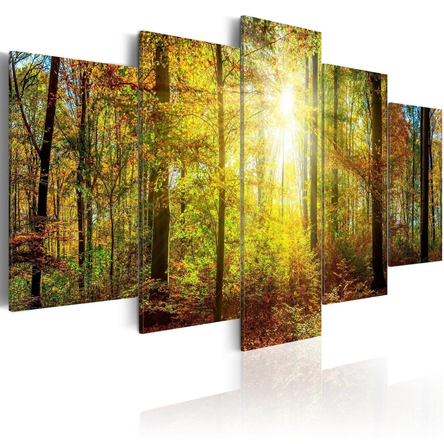 Stretched Canvas Landscape Art - Mystical Forest-Tiptophomedecor