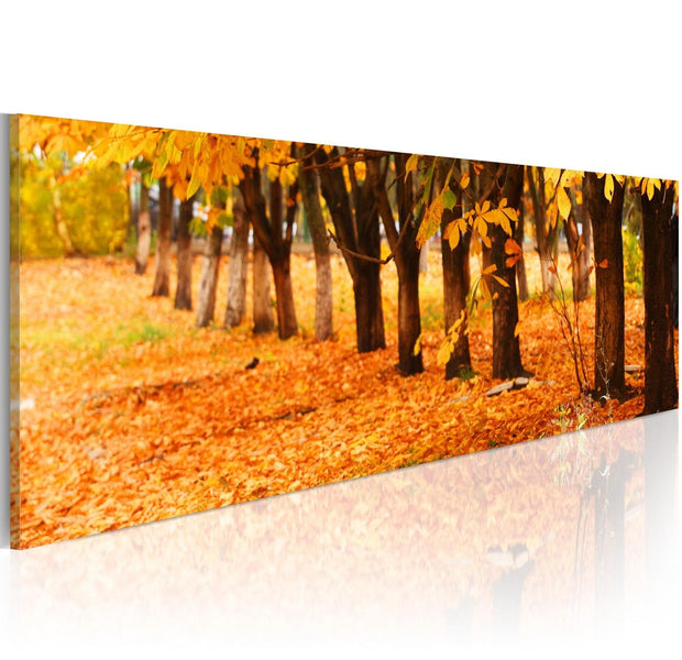 Stretched Canvas Landscape Art - Park Covered With Golden Leaves-Tiptophomedecor