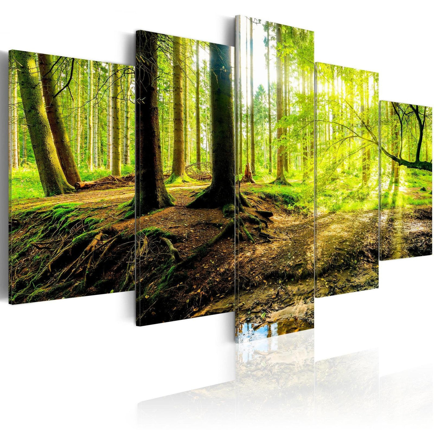Stretched Canvas Landscape Art - Poetry Of A Forest-Tiptophomedecor